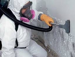 Environmental Consulting for Mold Prevention in Centerburg, OH